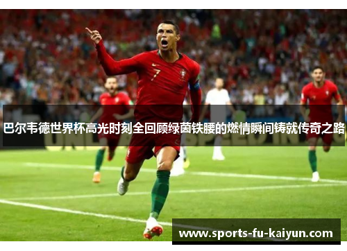 巴尔韦德世界杯高光时刻全回顾绿茵铁腰的燃情瞬间铸就传奇之路 巴尔韦德世界杯高光时刻全回顾绿茵铁腰的燃情瞬间铸就传奇之路
